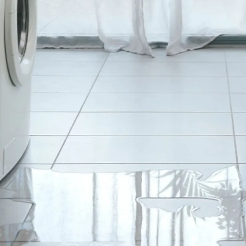 Appliance Leak Cleanup in Montpelier, OH