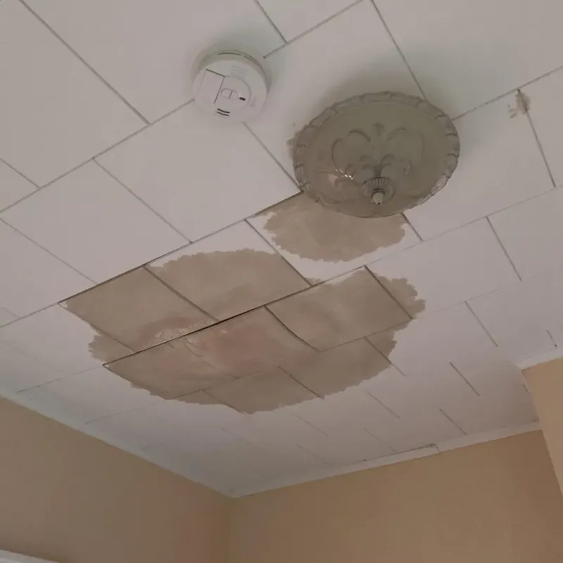 Ceiling Water Damage Repair in Montpelier, OH