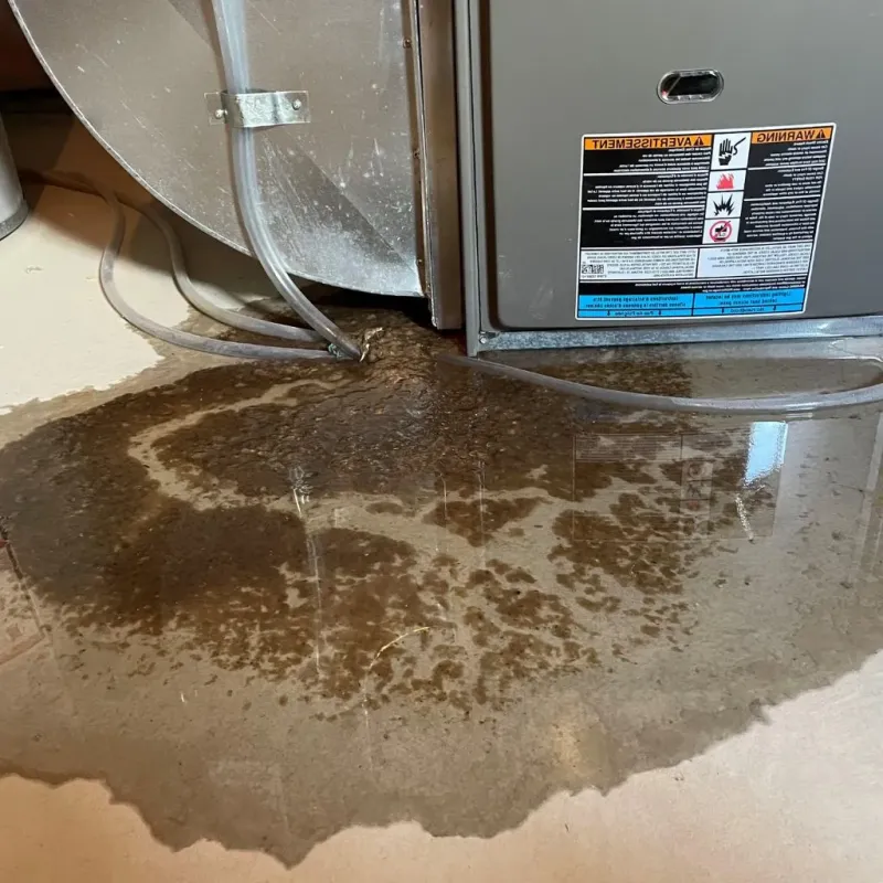 Pipe Burst and Leak Restoration in Montpelier, OH