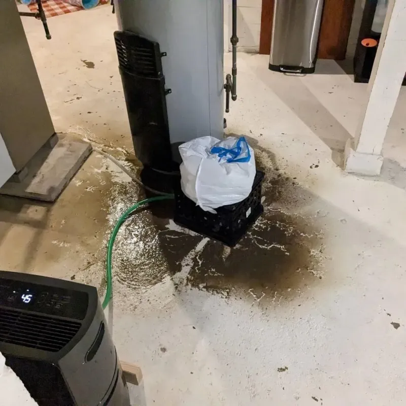 Sewage Backup Cleanup Service in Montpelier, OH
